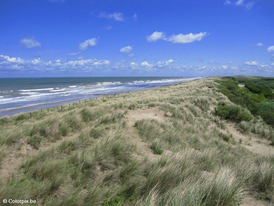 dunes Photo dunes