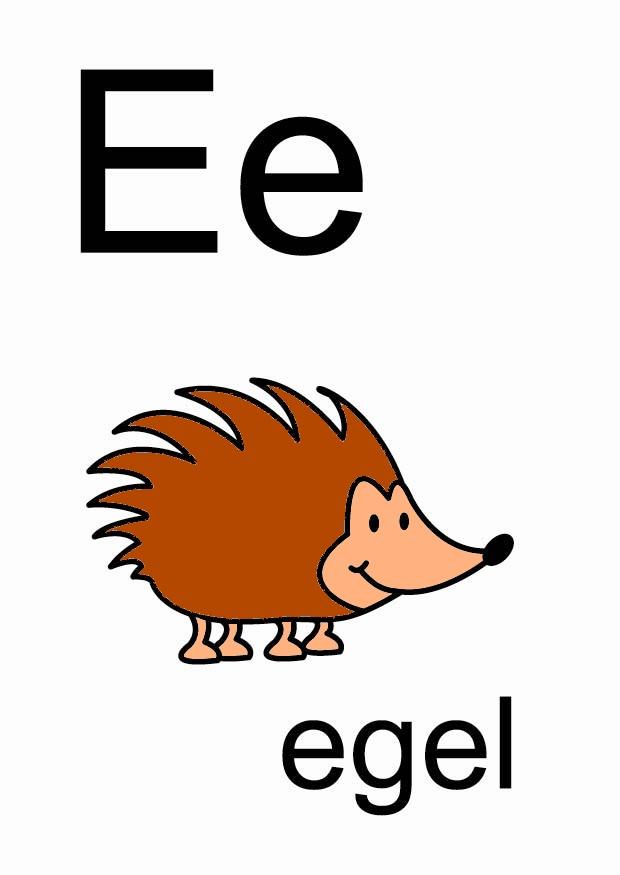 e Image e