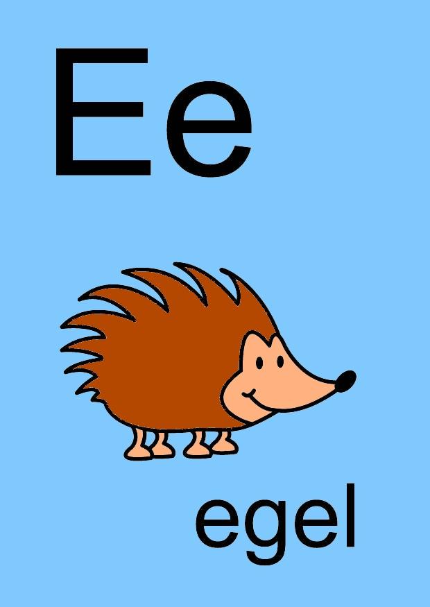 e Image e
