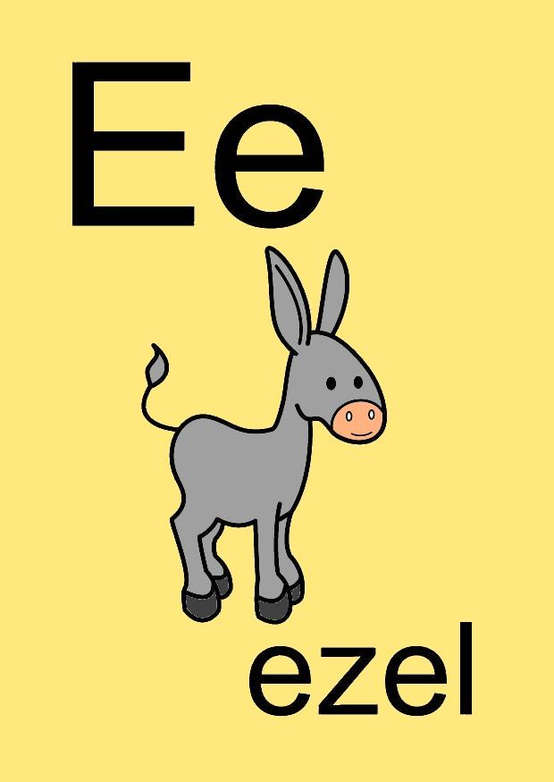e Image e