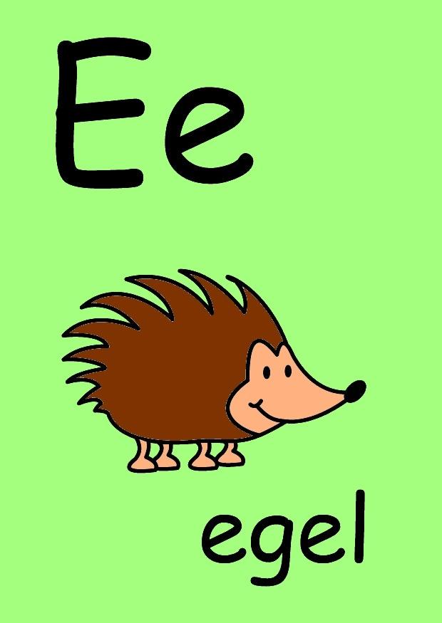 e Image e