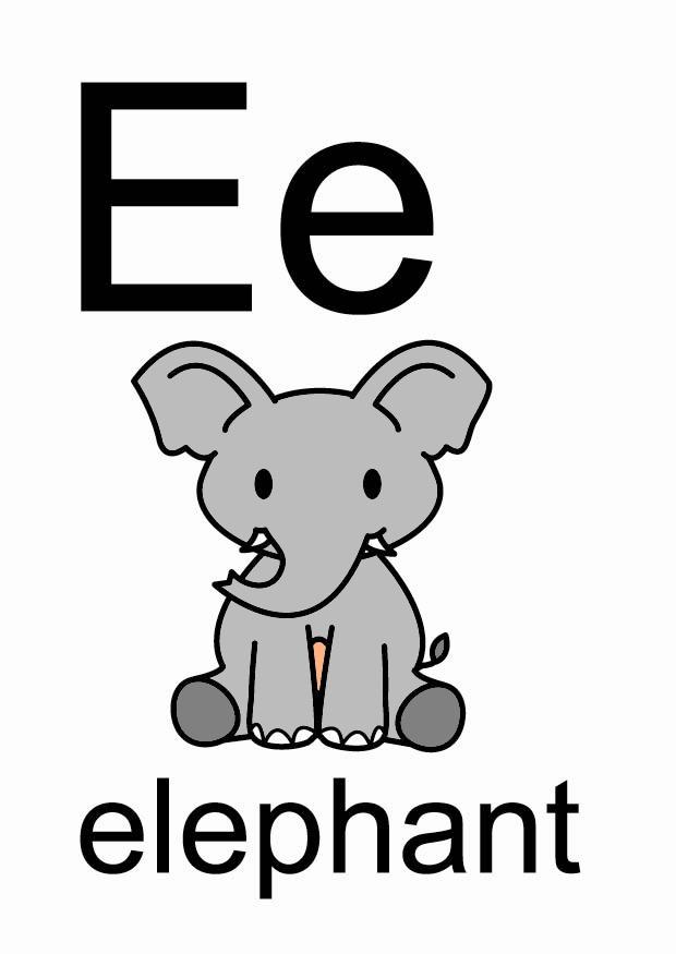 e Image e