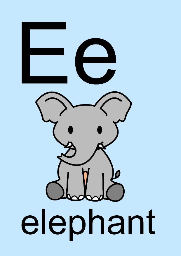 e Image e