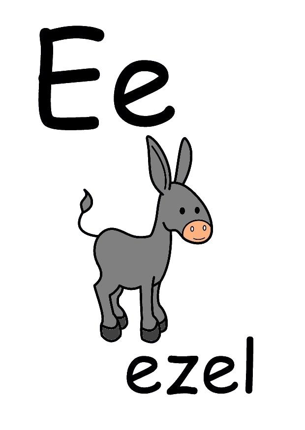e Image e