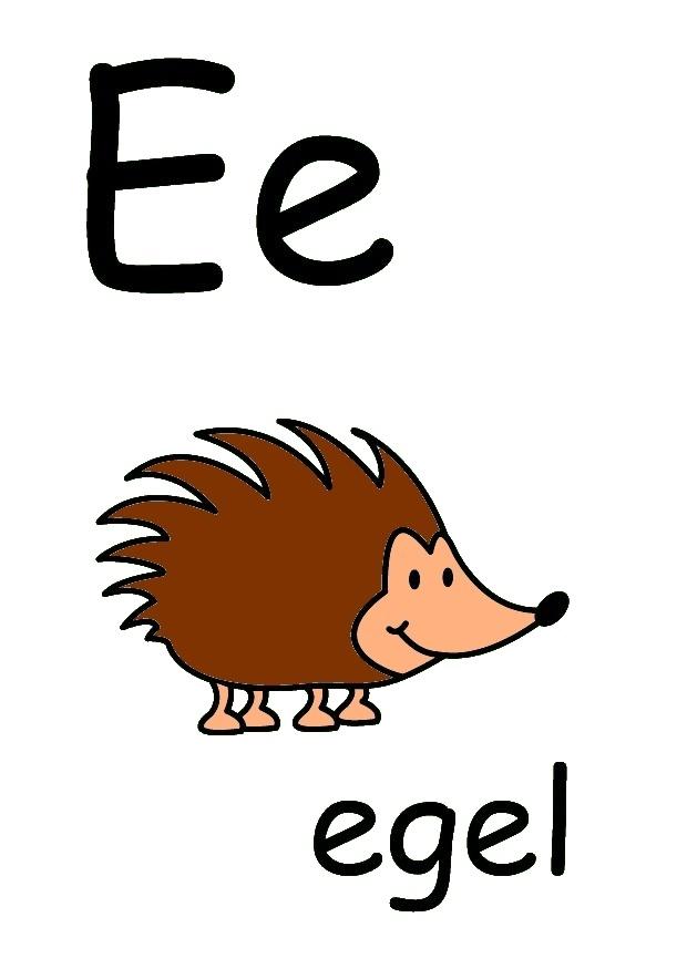 e Image e