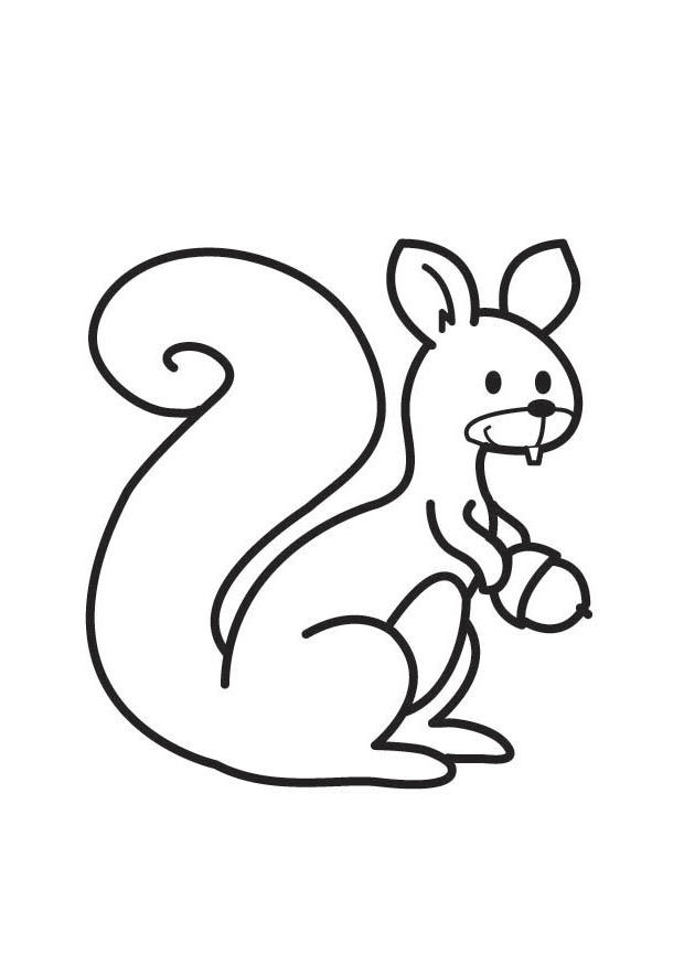 ecureuil Coloriage ecureuil
