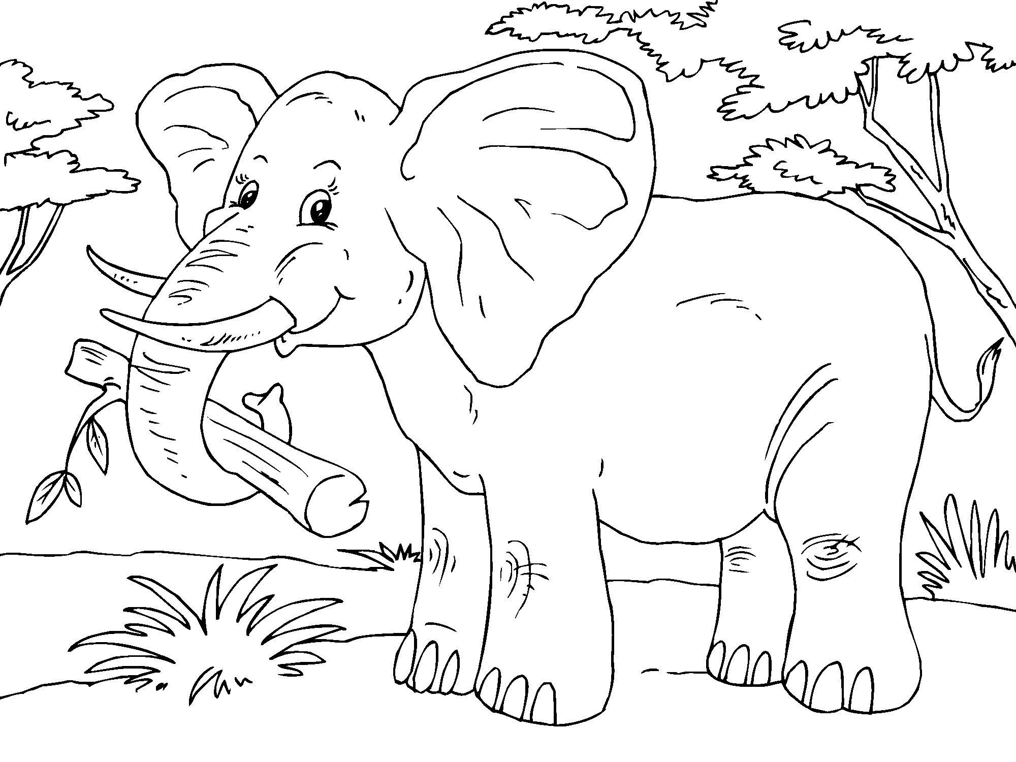 A©lA©phant Coloriage A©lA©phant