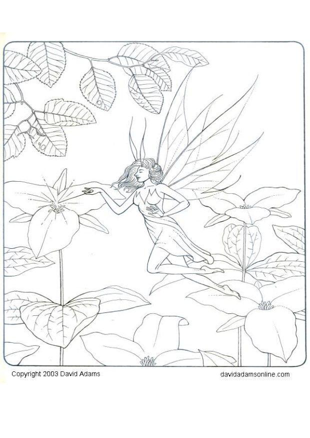 elfe Coloriage elfe