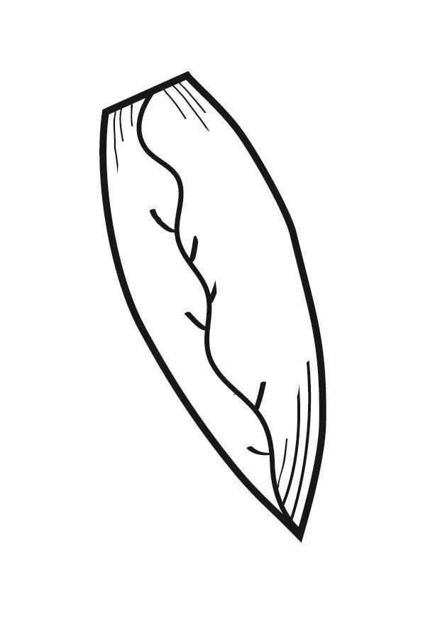 endives Coloriage endives