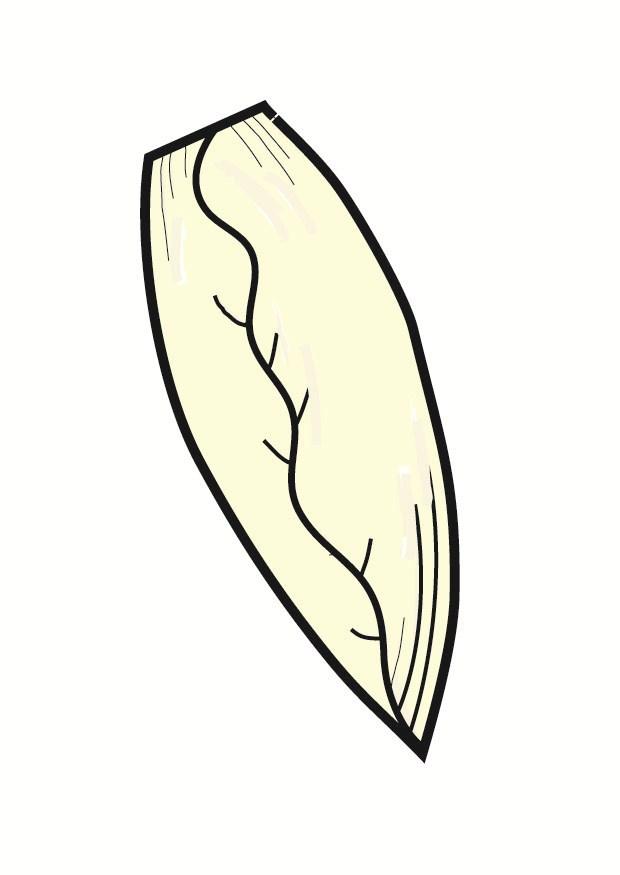 endives Image endives
