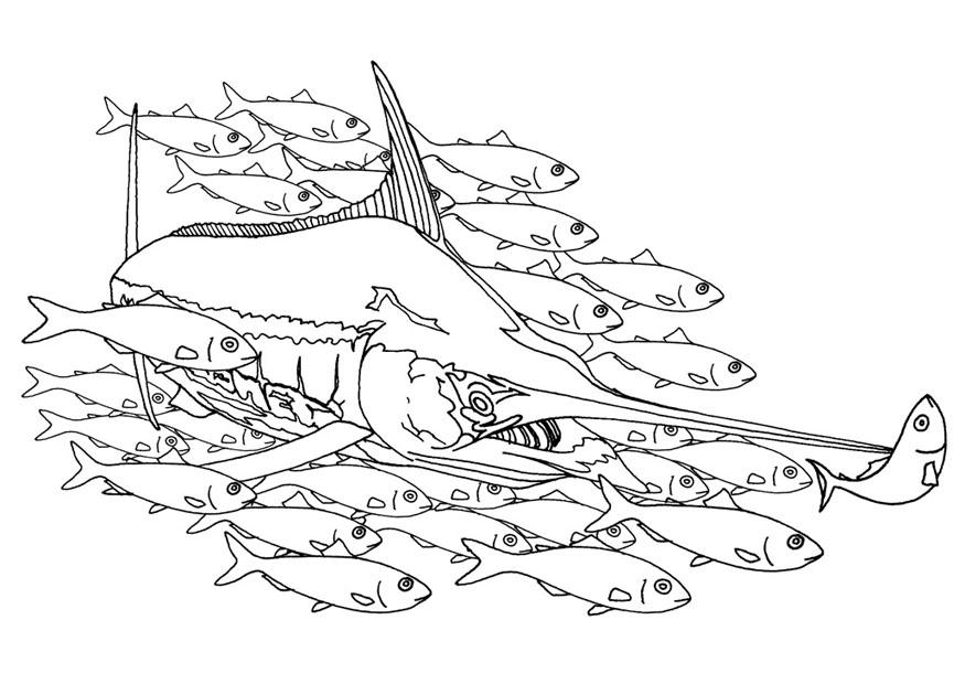 espadon Coloriage espadon