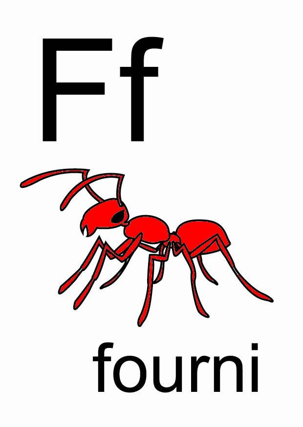 f Image f