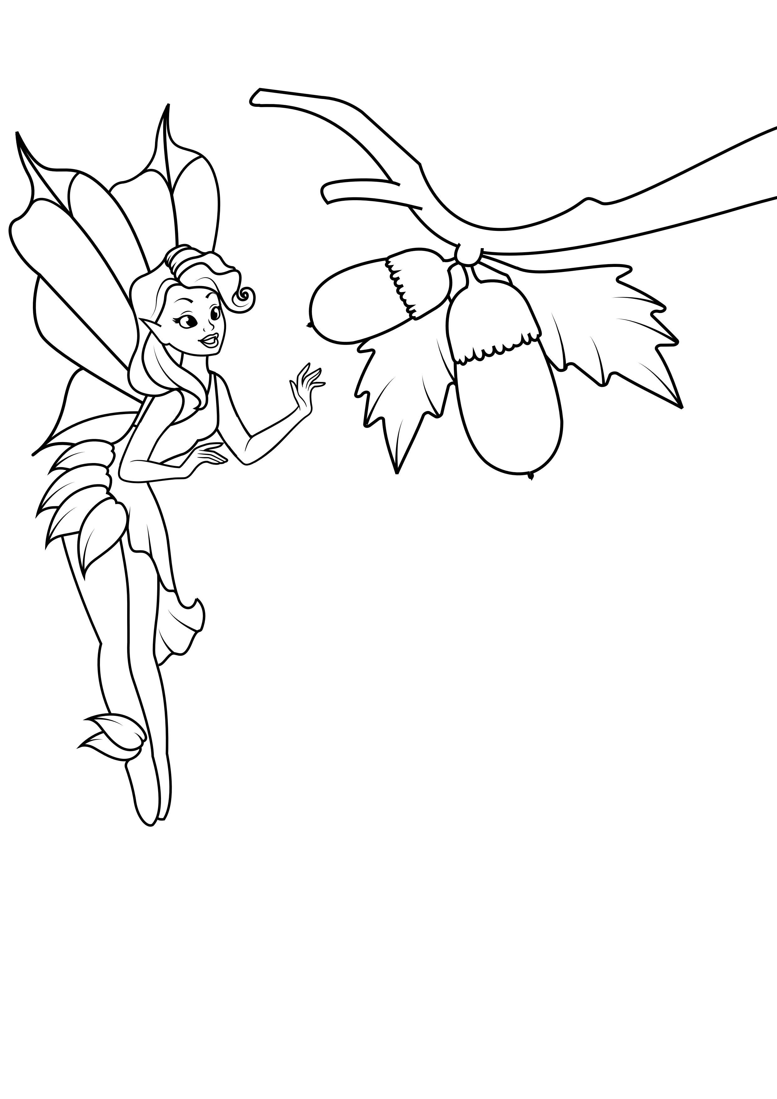 fA©e au gland Coloriage fA©e au gland