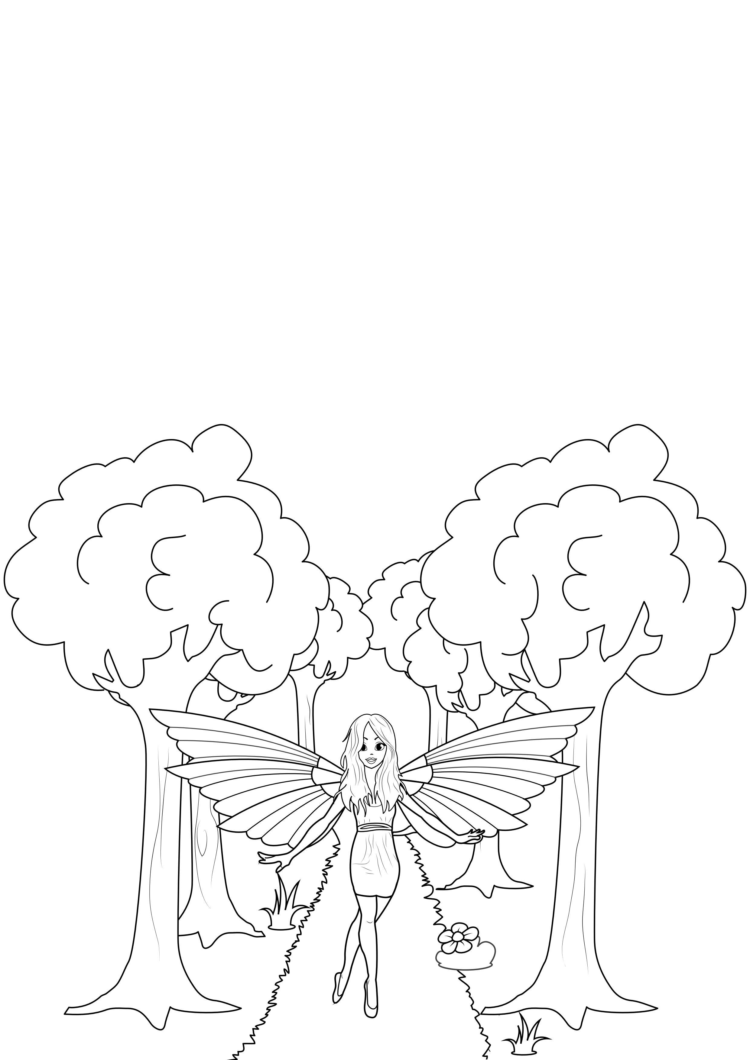 fA©e dans la forAªt Coloriage fA©e dans la forAªt