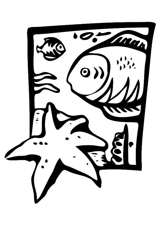 faune maritime Coloriage faune maritime