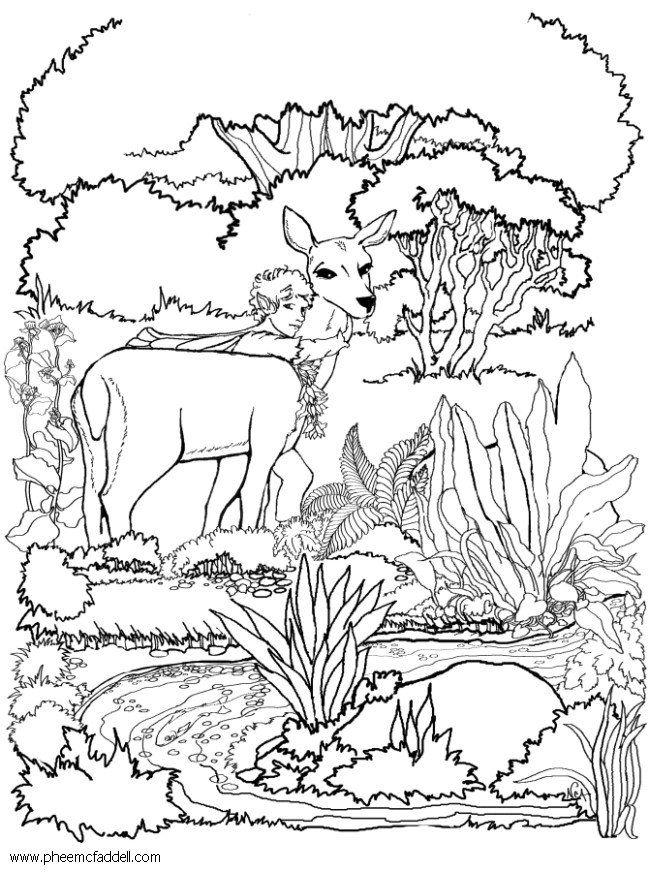 fA©e et cerf Coloriage fA©e et cerf