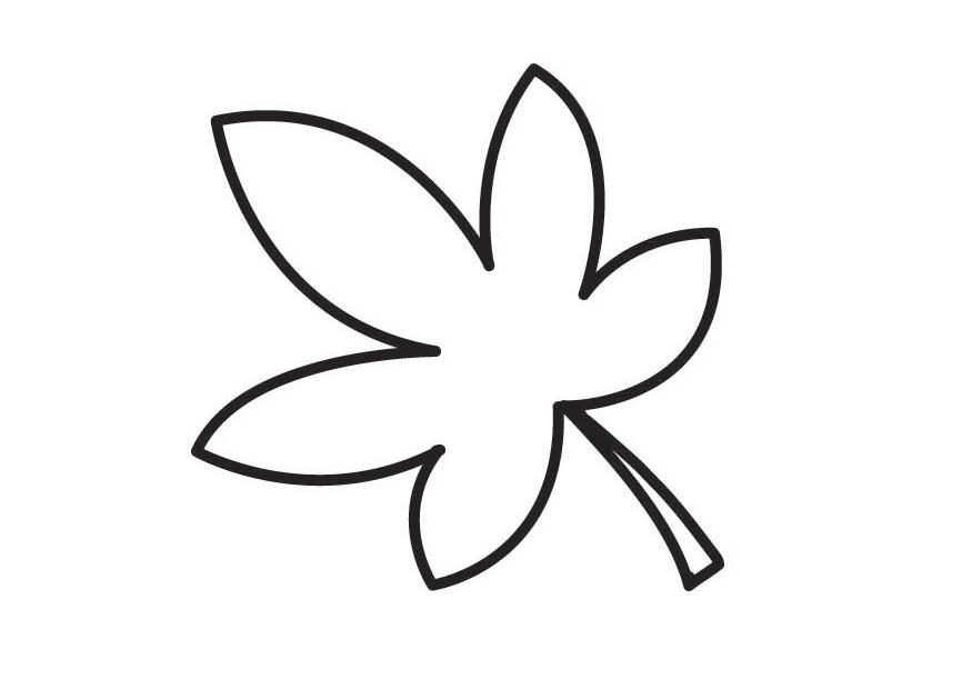 feuille Coloriage feuille