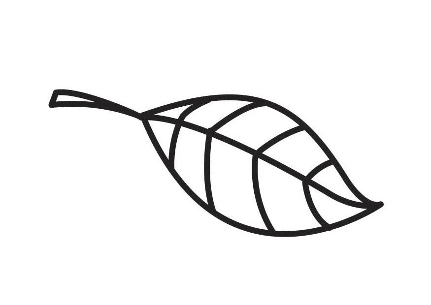 feuille Coloriage feuille