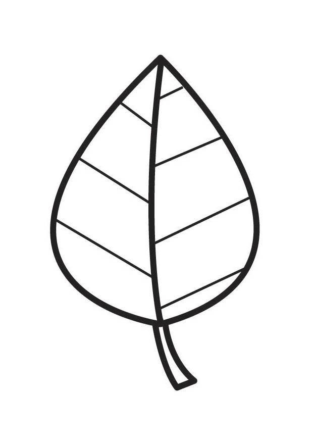 Coloriage feuille