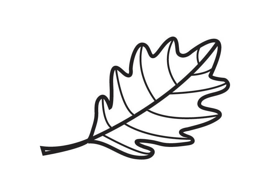 feuille de chAªne Coloriage feuille de chAªne