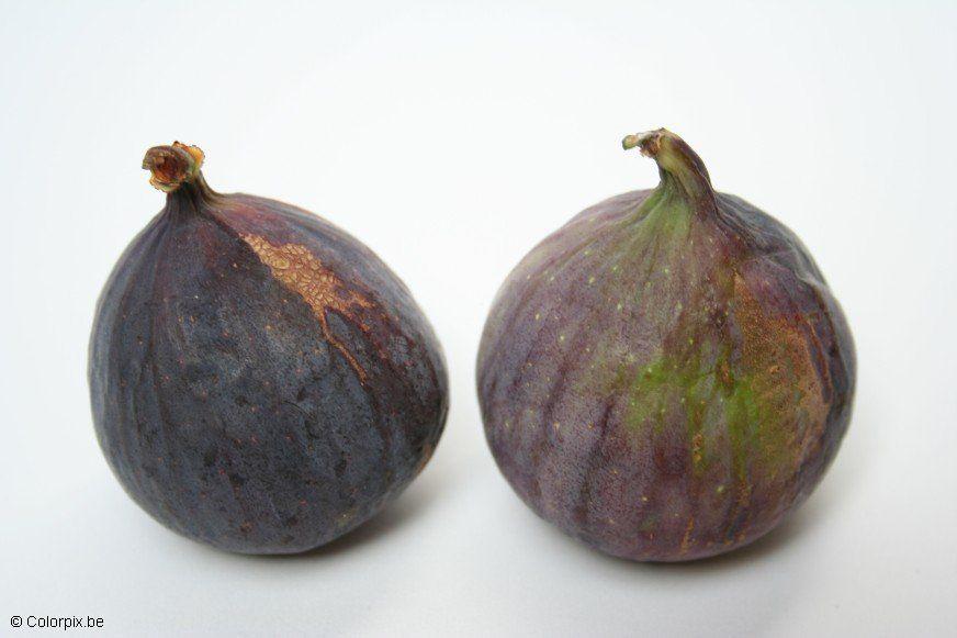figues Photo figues