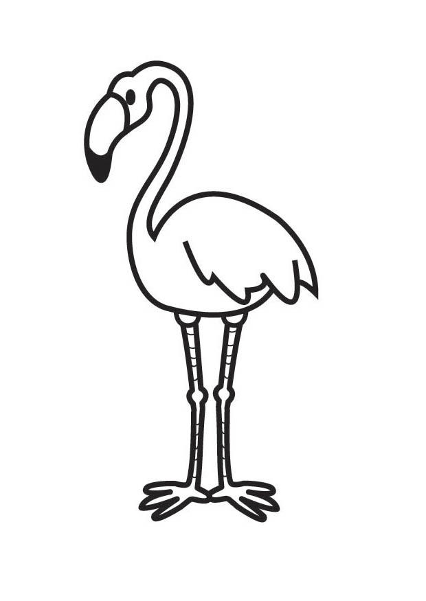 flamant Coloriage flamant