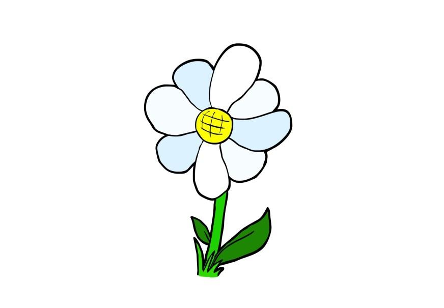 fleur Image fleur