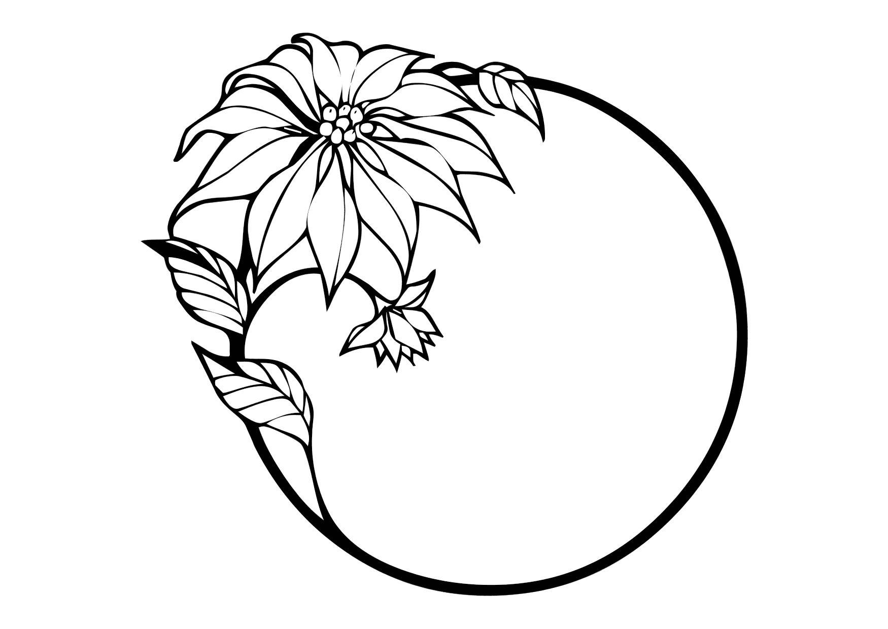 fleur de noA«l Coloriage fleur de noA«l