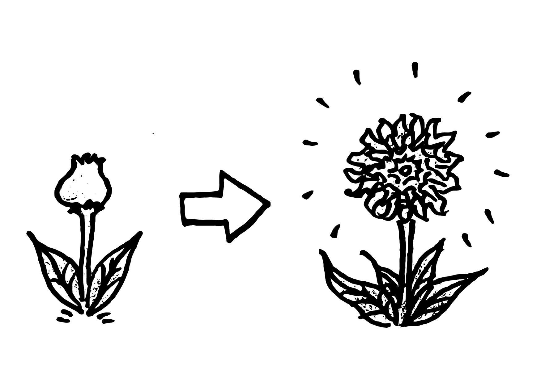 fleurir Coloriage fleurir