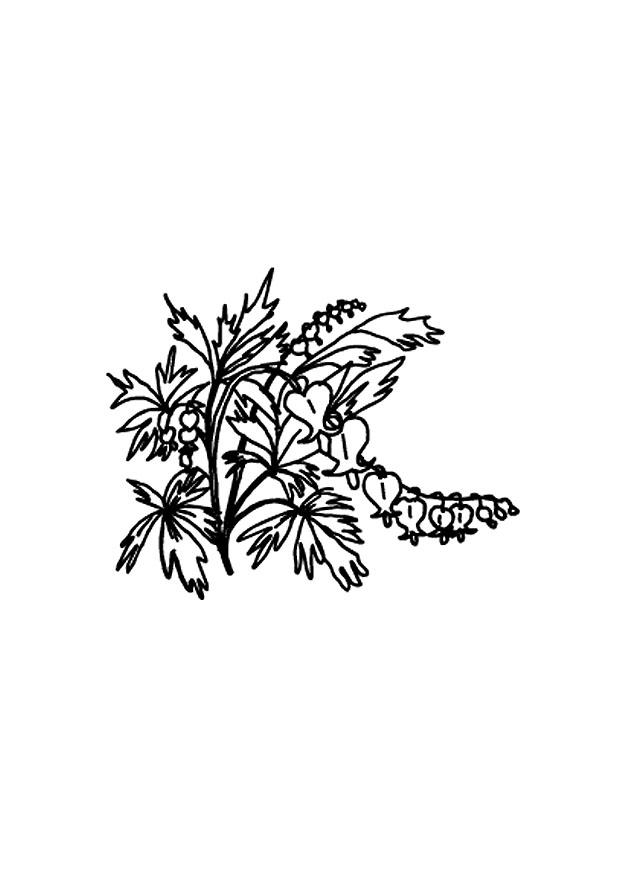 fleurs Coloriage fleurs