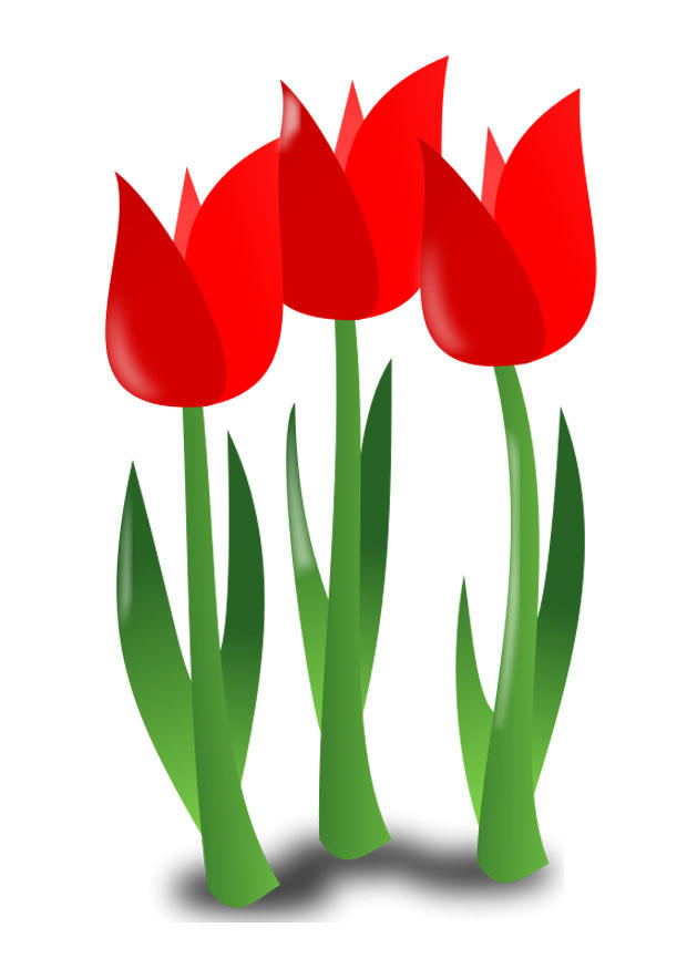 fleurs Image fleurs