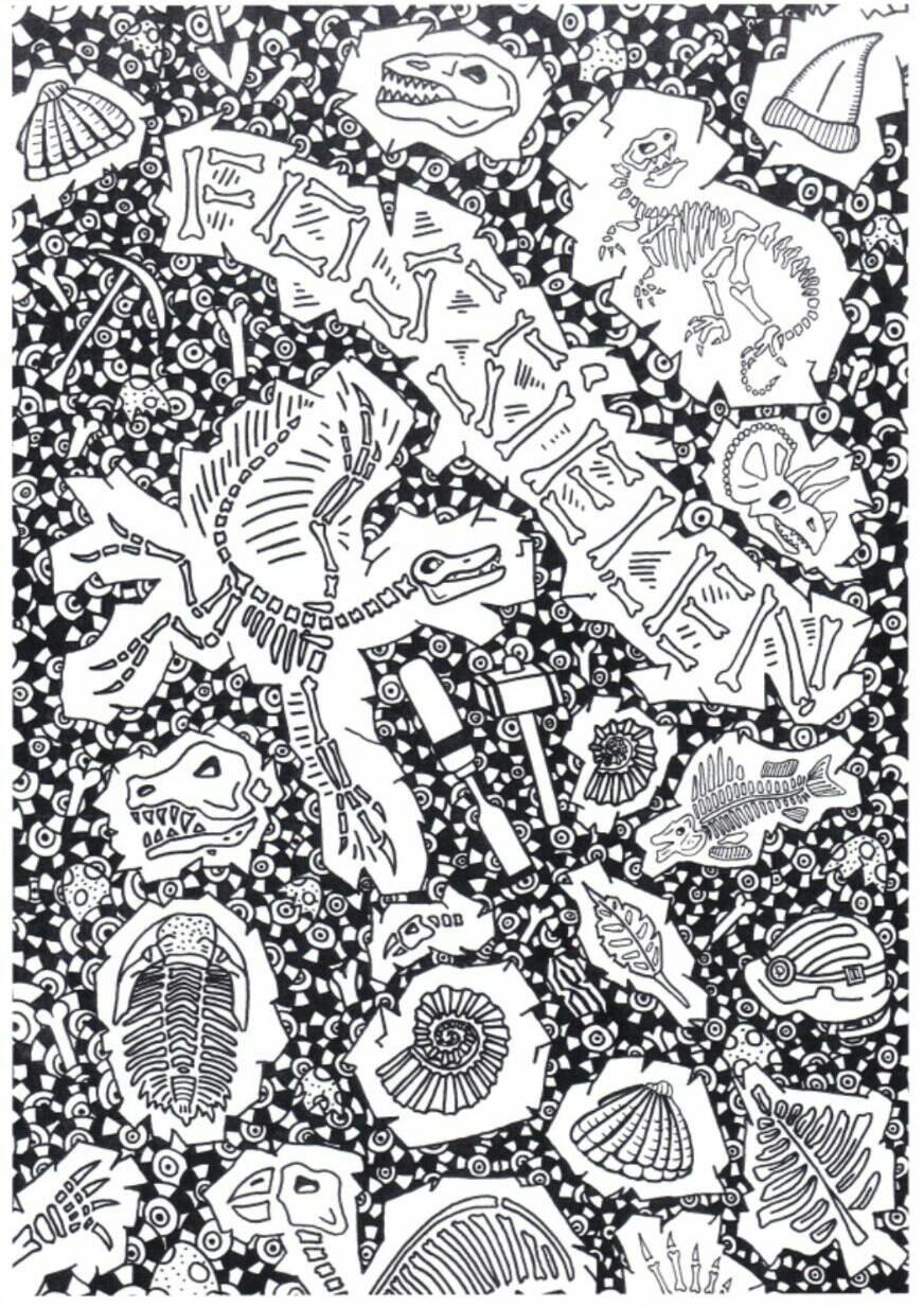 fossiles Coloriage fossiles