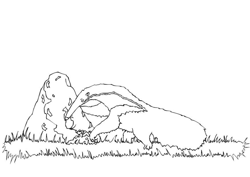 fourmillier casse le nid Coloriage fourmillier casse le nid