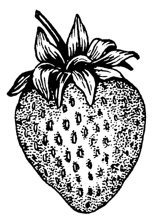 fraise Coloriage fraise