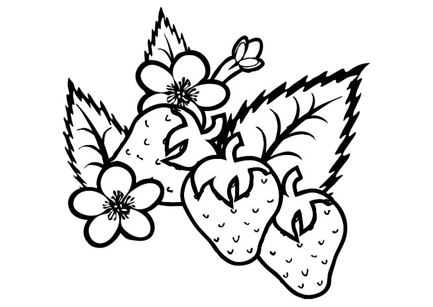 fraises Coloriage fraises