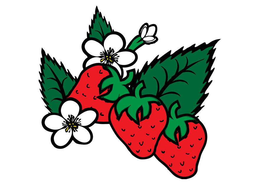 fraises Image fraises