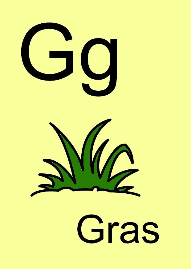 g Image g