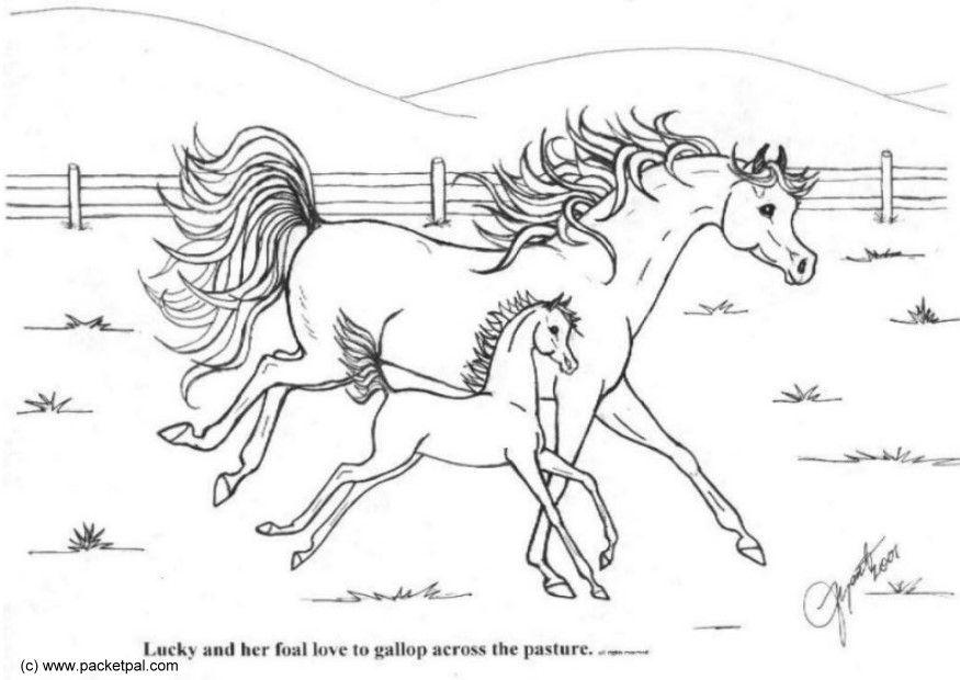 galop Coloriage galop