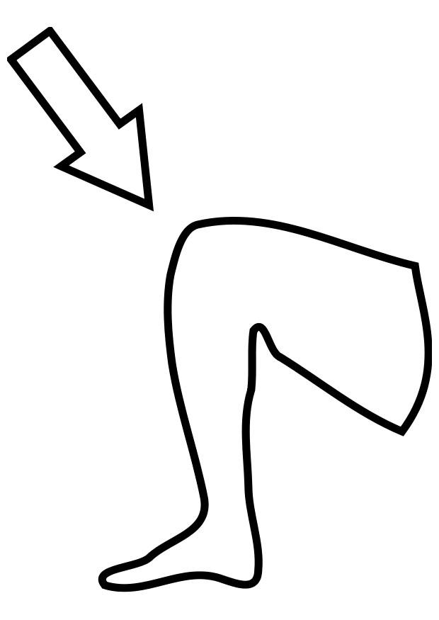genou Coloriage genou