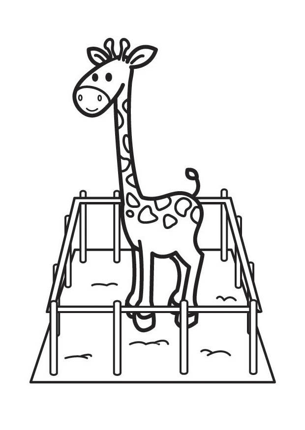girafe Coloriage girafe