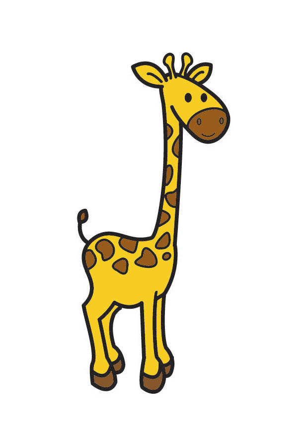 girafe Image girafe