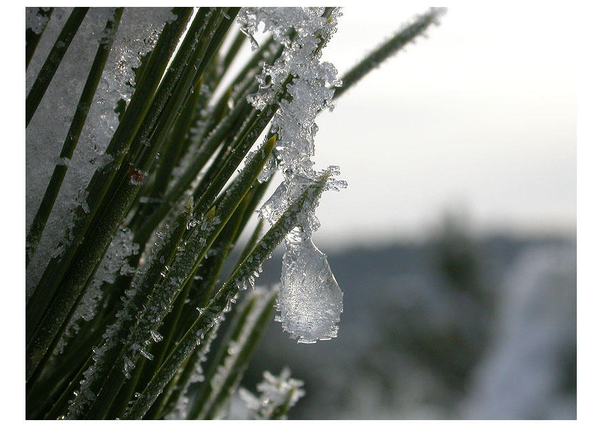 glace Photo glace