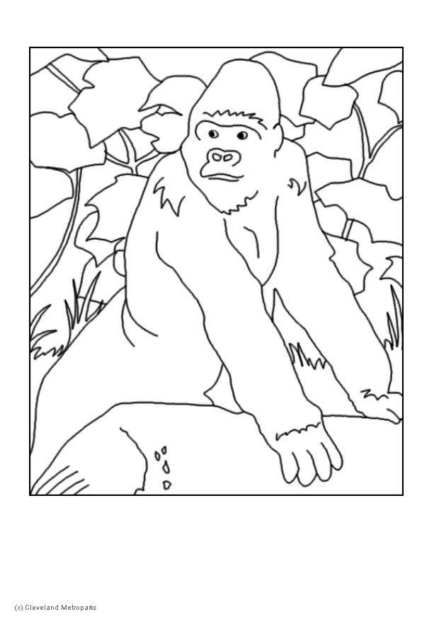 gorille Coloriage gorille