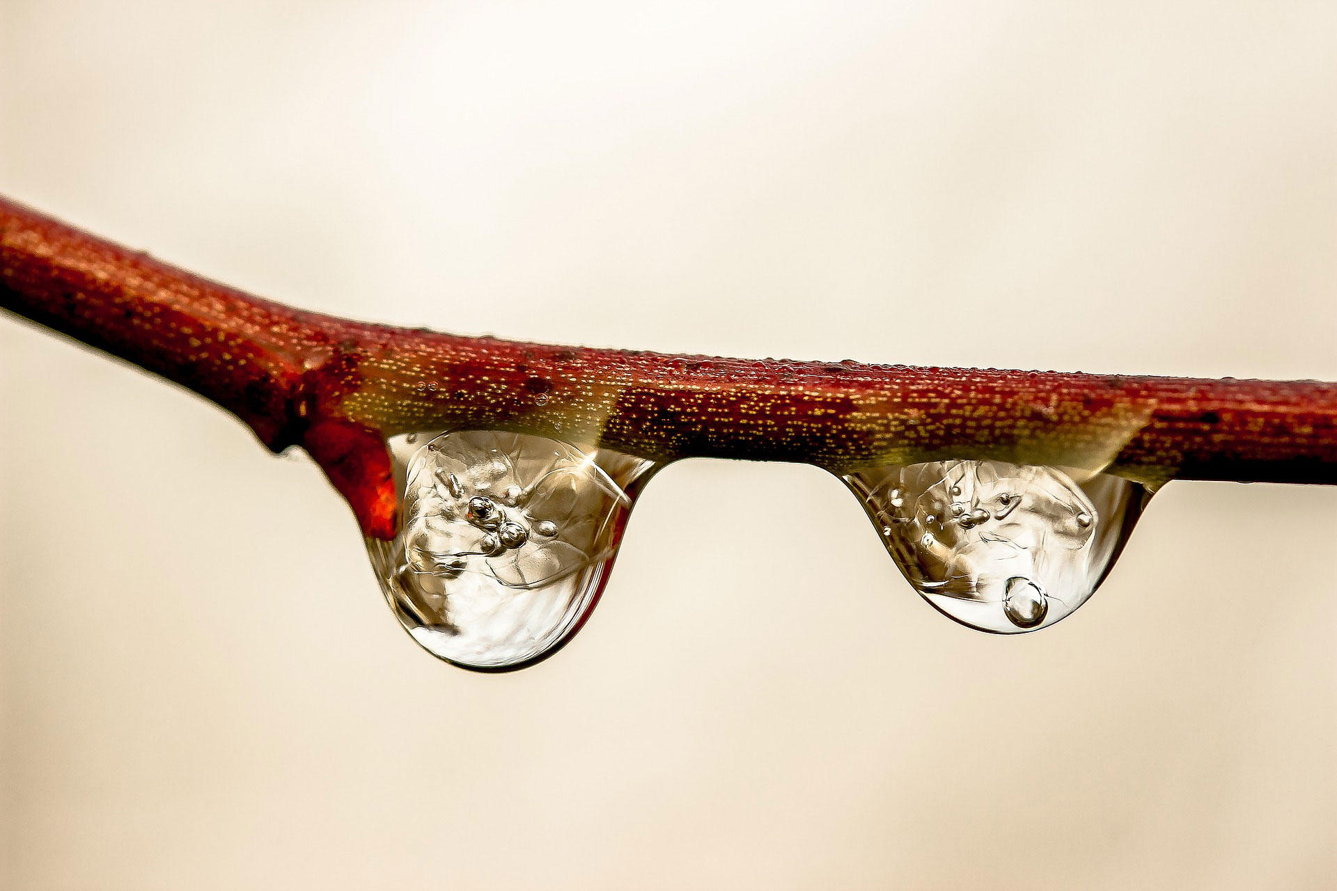 gouttes de pluie Photo gouttes de pluie