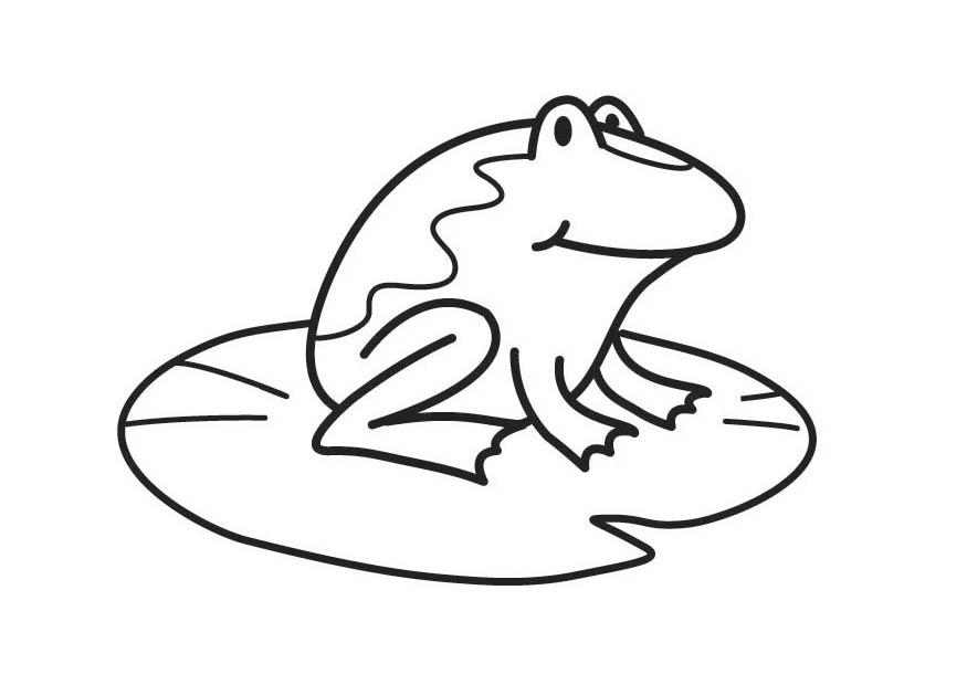 grenouille Coloriage grenouille