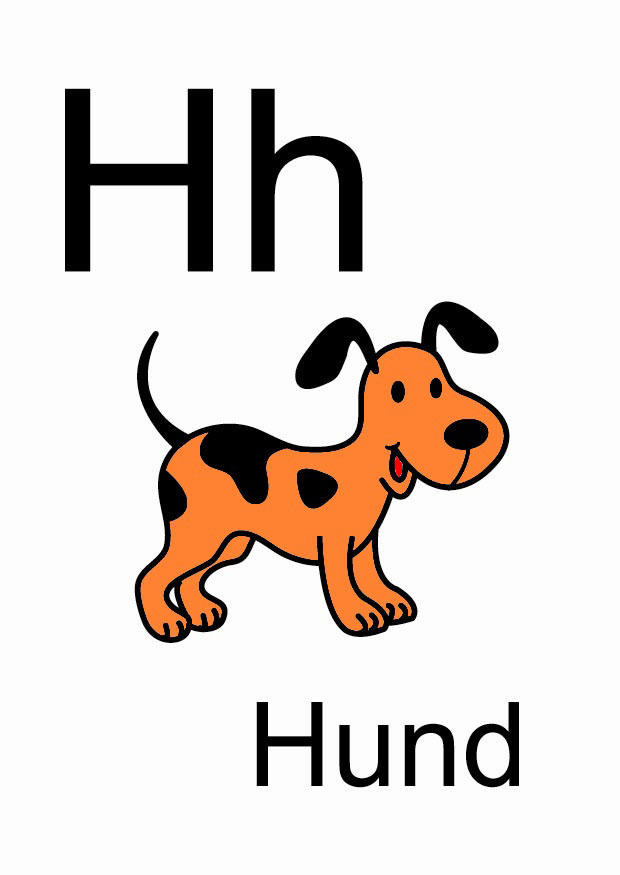h Image h