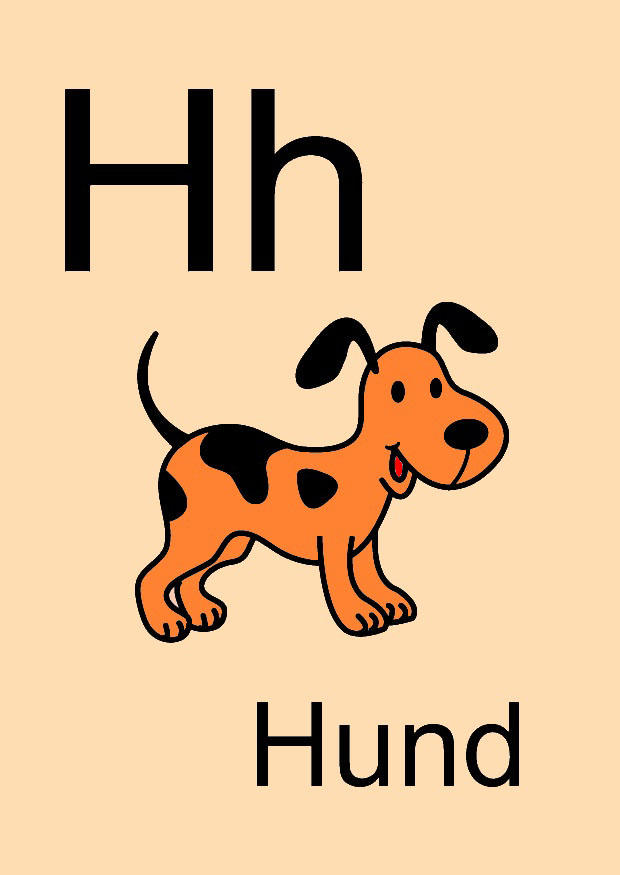 h Image h