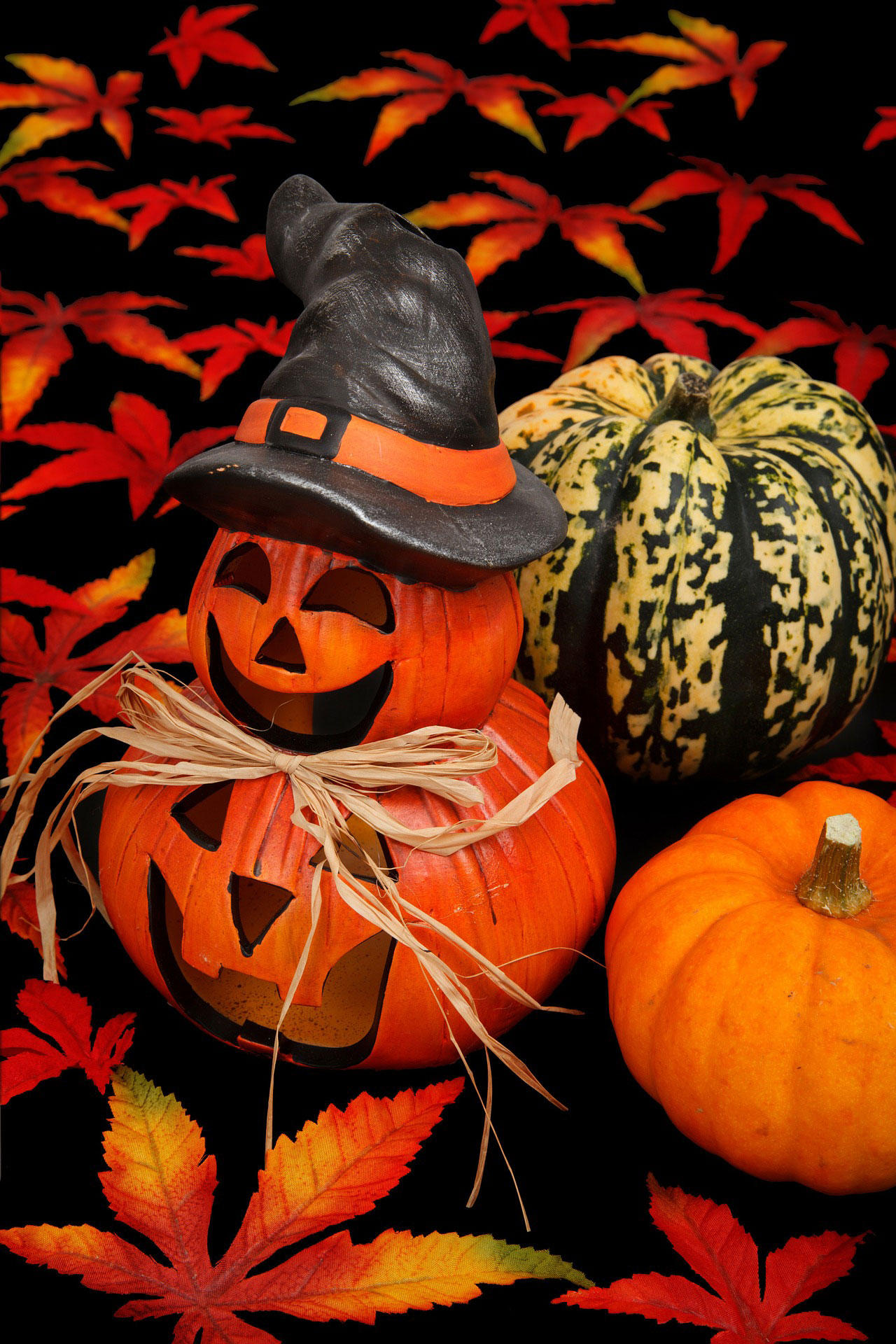 halloween Photo halloween