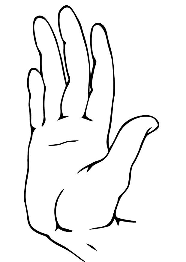 halte Coloriage halte