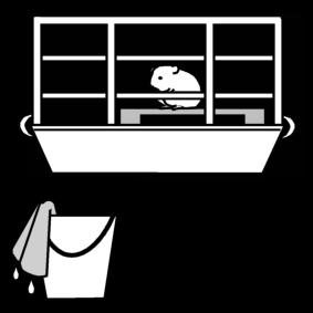 hamster - nettoyer la cage Coloriage hamster - nettoyer la cage